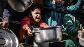 منظمة الأمن الغذائي المتكامل: 1.6 مليون شخص بغزة يواجهون انعداما حادا في الأمن الغذائي