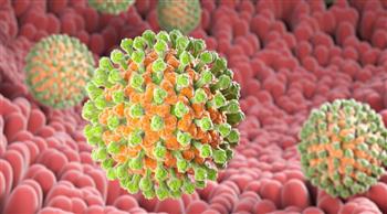 انتبه ..فيروس الروتا أكثر انتشارا في الشتاء