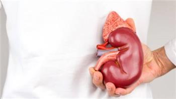 نصائح للحفاظ على صحة الكلى في فصل الشتاء