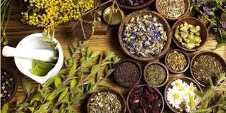 أعشاب وبذور تساعد في سد الشهية