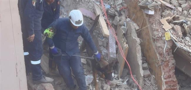 بالكلاب البوليسية.. البحث عن 8 مفقودين أسفل أنقاض عقار إمبابة