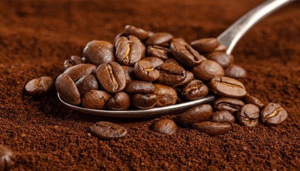 مصر والهند تبحثان تعزيز التعاون التجاري والاستثماري في قطاع البن 