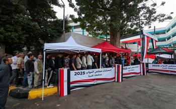 الوطنية للانتخابات تعلن نتيجة إعادة المرحلة الثانية اليوم.. وتواصل التصويت بالخارج في الدوائر الملغاة