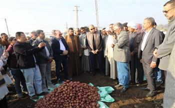 محافظ المنيا يشهد حصاد محصول البطاطس بقرية بردنوها بمطاي 