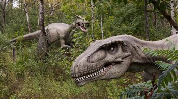 سارق البيض.. اكتشاف نوع جديد من الديناصورات بمخلب غير معتاد