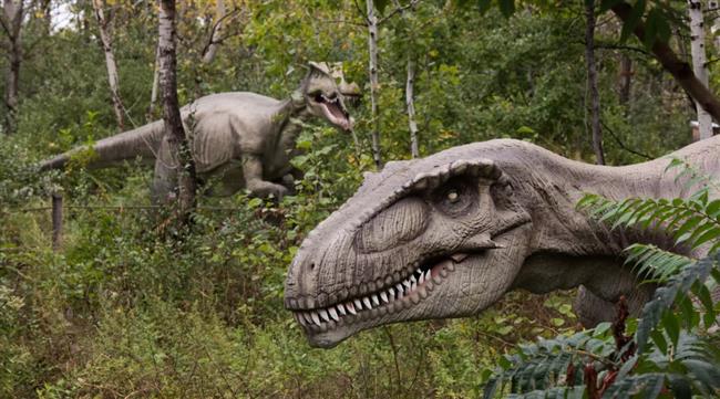 سارق البيض.. اكتشاف نوع جديد من الديناصورات بمخلب غير معتاد