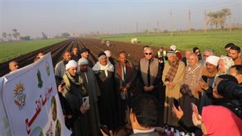 محافظ المنيا يشهد بدء زراعة 217 ألف فدان من محصول القمح