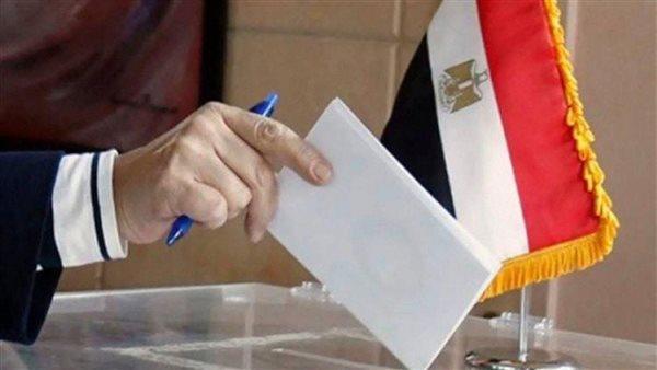 المصريون بالخارج يواصلون التصويت في جولة الإعادة لانتخابات النواب بـ 19 دائرة ملغاة 