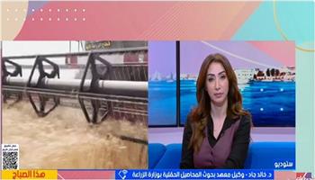 وكيل «بحوث المحاصيل الحقلية»: المختبر الحي لسلسلة قيمة القمح يجمع كل الشركاء لزيادة الإنتاجية