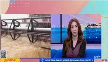 وكيل «بحوث المحاصيل الحقلية»: المختبر الحي لسلسلة قيمة القمح يجمع كل الشركاء لزيادة الإنتاجية 