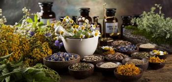 الأعشاب الطبيعية تساهم في الوقاية من الأمراض