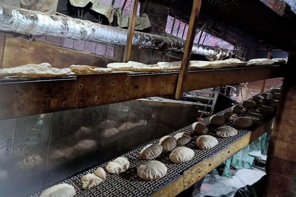 كفرالشيخ: استمرار الحملات التموينية المكثفة للرقابة على الأسواق 