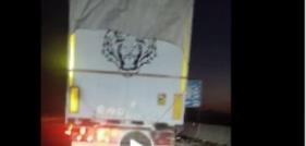 الأجهزة الأمنية تكشف ملابسات اصطدام وتعدٍ على قائد سيارة بالغردقة