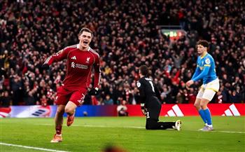 الدوري الإنجليزي.. ليفربول يفوز على وولفرهامبتون بثنائية في غياب محمد صلاح