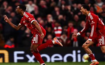 الدوري الإنجليزي.. ليفربول يتقدم على وولفرهامبتون بالهدف الأول