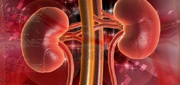 علامات قد تدل على الفشل الكلوي