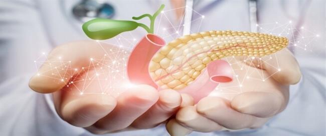 لتنشيط البنكرياس ..تناول هذه المشروبات