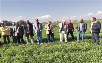 وزير الزراعة: تكثيف الزيارات الميدانية لرصد الحالة العامة لزراعات القمح