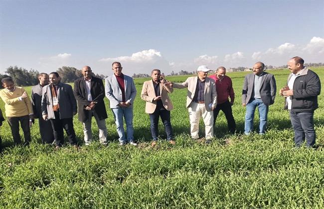 وزير الزراعة: تكثيف الزيارات الميدانية لرصد الحالة العامة لزراعات القمح