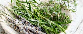 وصفة آمنة لتنظيف الجهاز البولي وتقليل الأملاح والبكتيريا الخفيفة