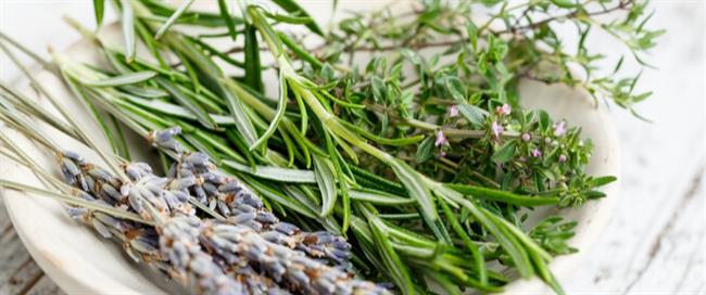 وصفة آمنة لتنظيف الجهاز البولي وتقليل الأملاح والبكتيريا الخفيفة