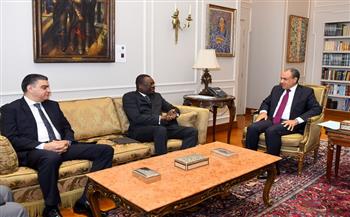 وزير الخارجية يؤكد دعم مصر لتعزيز منظومة الصحة والأمن الدوائي في أفريقيا