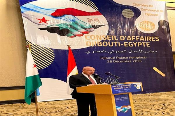 كامل الوزير: زيارة الرئيس السيسي لجيبوتي خلال عام 2025 شكّلت محطة فارقة في مسار العلاقات الثنائية للبلدين 