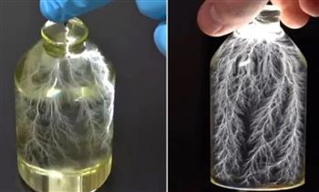 تجربة مذهلة.. يوتيوبر يلتقط "برق داخل زجاجة"