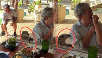 من أجل طبق بيض.. ضيف مرعب يقتحم مائدة أسرة في الفلبين (فيديو)