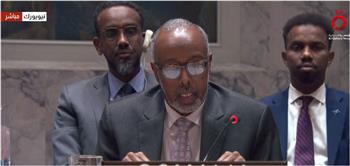 جلسة بمجلس الأمن بشأن اعتراف إسرائيل بما يسمى بأرض الصومال.. بث مباشر