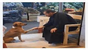 جزار إمبابة والكلب الوفي.. قصة إنسانية تحصد ملايين المشاهدات