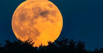 خلال ساعات.. "القمر البارد" العملاق يُزيّن السماء