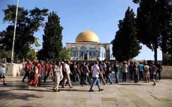 375 مستوطنا يقتحمون باحات الاٌقصى.. واعتقال 11 فلسطينيا من مدن الضفة