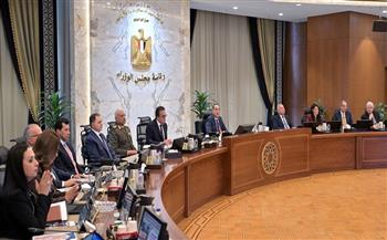 مجلس الوزراء يوافق على إنشاء كلية الهندسة جامعة مدينة السادات