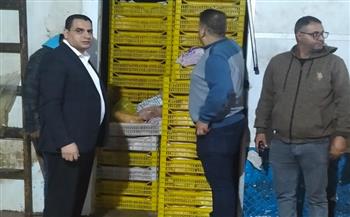 محافظة الجيزة تضبط 30 طن كفتة منتهية الصلاحية قبل طرحها للتداول بمركز أبو النمرس 