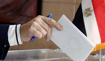 رمضان المطعني: إعادة الانتخابات في الجيزة عززت التنافس بين المرشحين