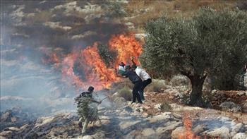مستوطنون يضرمون النار في أراضي الفلسطينيين شمال غرب رام الله