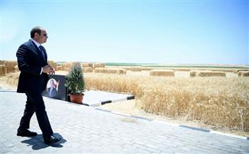 الزراعة فى «الجمهورية الجديدة».. «استصلاح.. استثمار.. وتصدير»