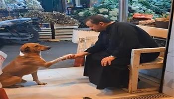 شاهد.. كلب وجزار يشعلان مواقع التواصل بفيديو لا يُصدق