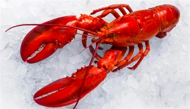 سرقة بطريقة لا تٌصدق لشحنة "استاكوزا" بنصف مليون دولار