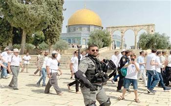 مستوطنون يقتحمون باحات المسجد الأقصى.. وآخرون يستولون على جرافة ويعتدون على سائقها جنوب نابلس
