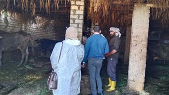 تحصين 287 ألف رأس ماشية ضد الحمى القلاعية بالدقهلية