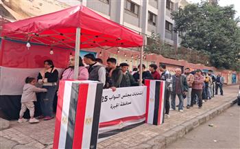 انطلاق تصويت المصريين في الخارج في إعادة انتخابات النواب بـ30 دائرة.. موعد الانتخابات للداخل وإعلان النتيجة