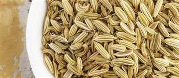 فوائد الشمر للمعدة والأمعاء