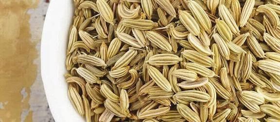 فوائد الشمر للمعدة والأمعاء