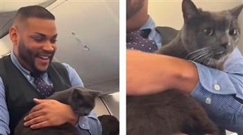 قطة هاربة تشعل الأجواء في رحلة طيران.. كيف تعامل معها الطاقم؟