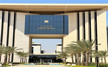 "الخارجية" تهيب بالمصريين في الخارج مراعاة قوانين الدول الخاصة بنشر فيديوهات لطلب مساعدات قنصلية 