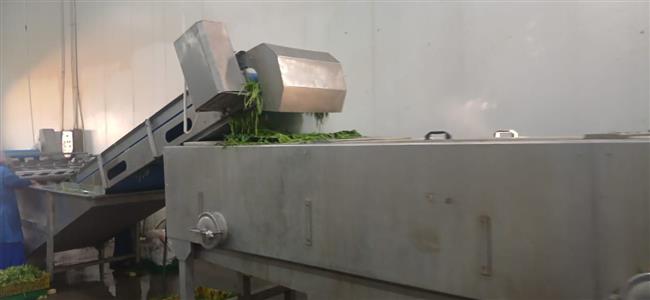 «جهاز شؤون البيئة بالشرقية» يشن حملات تفتيشية مفاجئة على المنشآت الغذائية والصناعية  