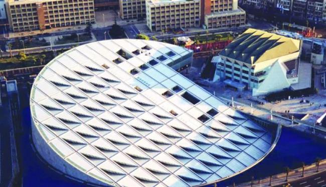 بعد إطلاق فيلم «أصلك مستقبلك».. «مكتبة الإسكندرية»: كل أثر هو جذر من شجرتنا الطيبة