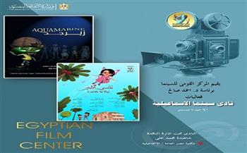 الأحد.. القومي للسينما يقدم عروض نادي سينما الإسماعيلية